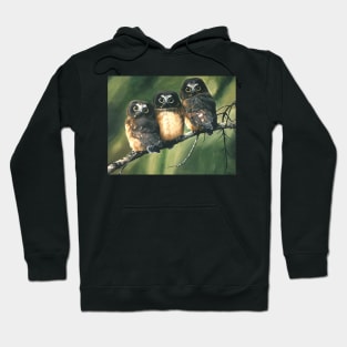 Saw Whet Owls Hoodie